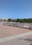 Top Daimuz