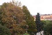 Top Bologna
