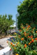 Top Ostuni