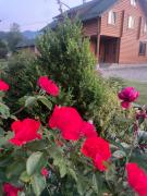 Top Verkhovyna