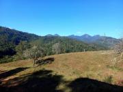 Top Campina Grande do Sul