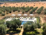 Top Marsiliana