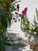 Top Skiathos Town