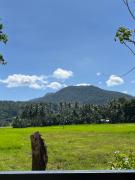 Top Camiguin
