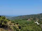 Top Tavronitis