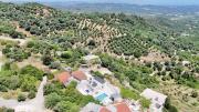 Top Tavronitis