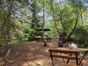 Top Bovey Tracey