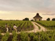 Top Pauillac