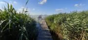 Top Balatonfenyves