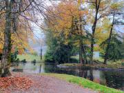 Top Schlangenbad