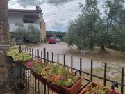 Top Muggia