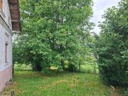 Top Machov