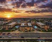 Top Galveston