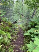 Top Talkeetna