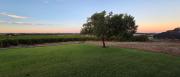 Vineyard Views