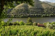 Top Ervedosa do Douro