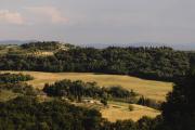 Top Barberino di Val dʼElsa