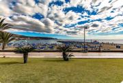 Top Arona