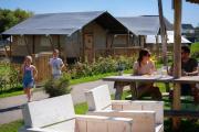Safari Lodges Premium