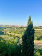 Top Cartoceto