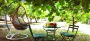 Top Amarinthos