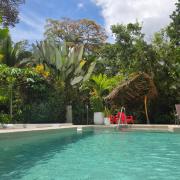 La Rana De Cahuita