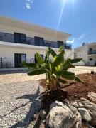 Top Himare