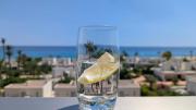 Top Villajoyosa