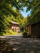 Top Campigna