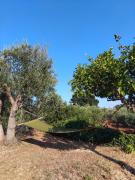 Top Cisternino