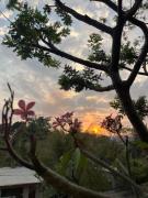 Top Sayulita
