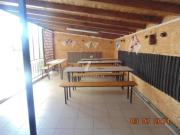 Top Costinesti