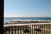 Top Shelly Beach