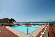 Top Shelly Beach