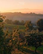 Bel campà - B&B VEGANO IN CAMPAGNA