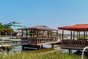 Top Edisto Beach