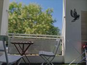 Top Avignon