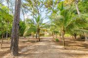 Top Dangriga Top Dangriga