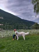 Top Revine Lago