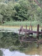 Top Revine Lago