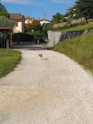 Top Revine Lago