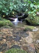 Eco Hotel Los cedros