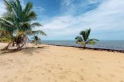 Top Placencia
