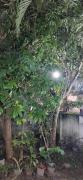 Top Cochin