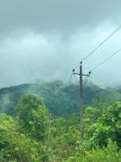 Top Siddapur