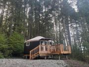 Top Fernwood