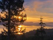 Top Fernwood