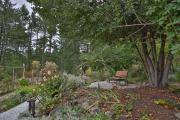 Top Fernwood