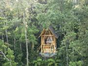 Alasari Hidden Bamboo Retreat in the Jungle Alasari Hidden Bamboo Retreat in the Jungle