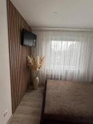 LuXury Apartment on Naujakiemis Street
